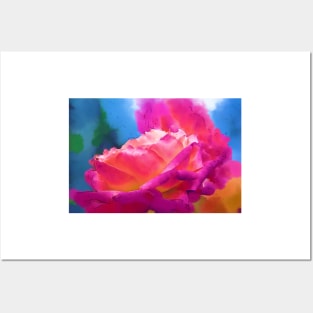 Soft Rose Bloom In Red and Purple Posters and Art